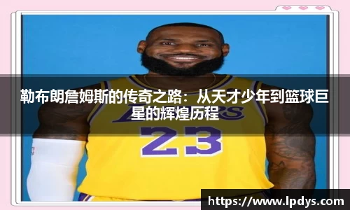 完美体育登录入口